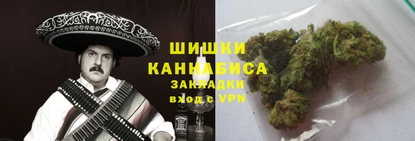 стафф Горняк