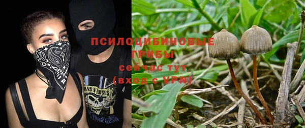 стафф Горняк
