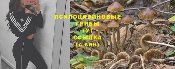 apvp Горно-Алтайск