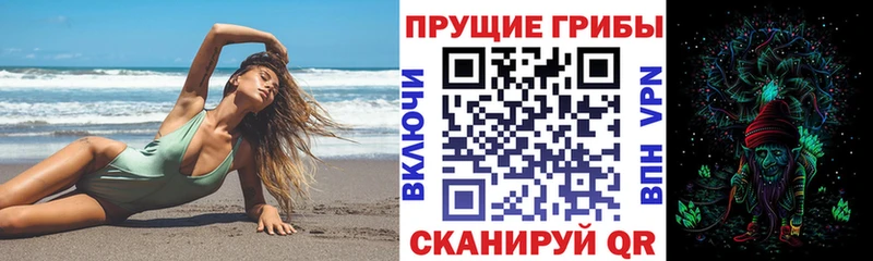 Купить закладки  Кинель  Псилоцибиновые грибы MAGIC MUSHROOMS 
